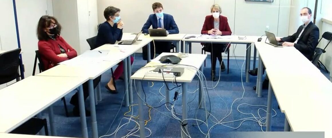 Auditionnée par visioconférence depuis Paris le 6 décembre, Virginie Beaumeunier (au centre) directrice générale de la concurrence, de la consommation et de la répression des fraudes (DGCCRF), souligne le caractère incontestable du problème de santé publique posé par l'excès de sucre dans les aliments, mais rappelle qu'il n'est pas de la compétence de la DGCCRF de régler ce problème. Auditionnée par visioconférence depuis Paris le 6 décembre, Virginie Beaumeunier (au centre) directrice générale de la concurrence, de la consommation et de la répression des fraudes (DGCCRF), souligne le caractère incontestable du problème de santé publique posé par l'excès de sucre dans les aliments, mais rappelle qu'il n'est pas de la compétence de la DGCCRF de régler ce problème.