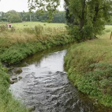 Milieu naturel photo illustration Milieu naturel photo illustration