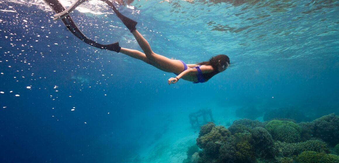 Nageuse palme masque tuba barrière de corail Nageuse palme masque tuba barrière de corail