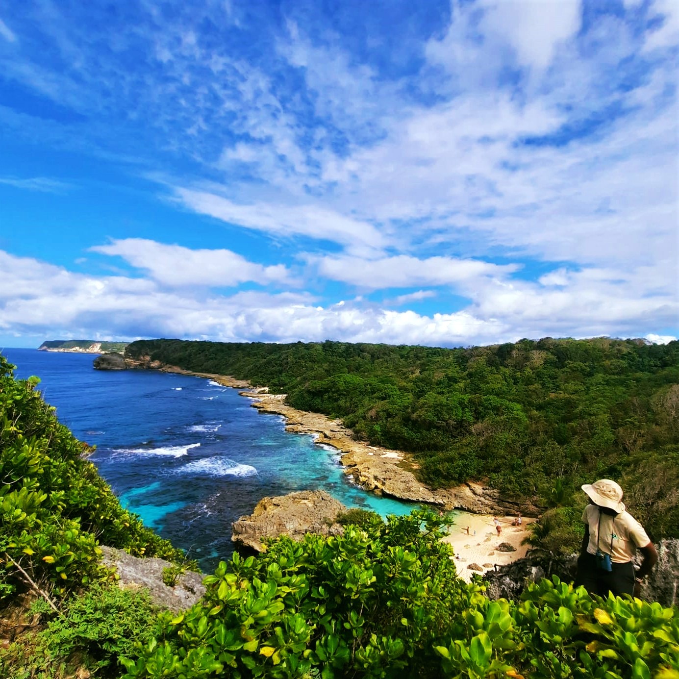Agents de l’ONF en prospection terrestre des oiseaux marins nicheurs 2 fois par mois pendant les mois de janvier et février 2024. Photo : FB Réserve Biologique Dirigée du Nord Grande-Terre