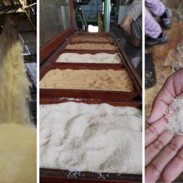 Photo d'illustration usine sucre de canne