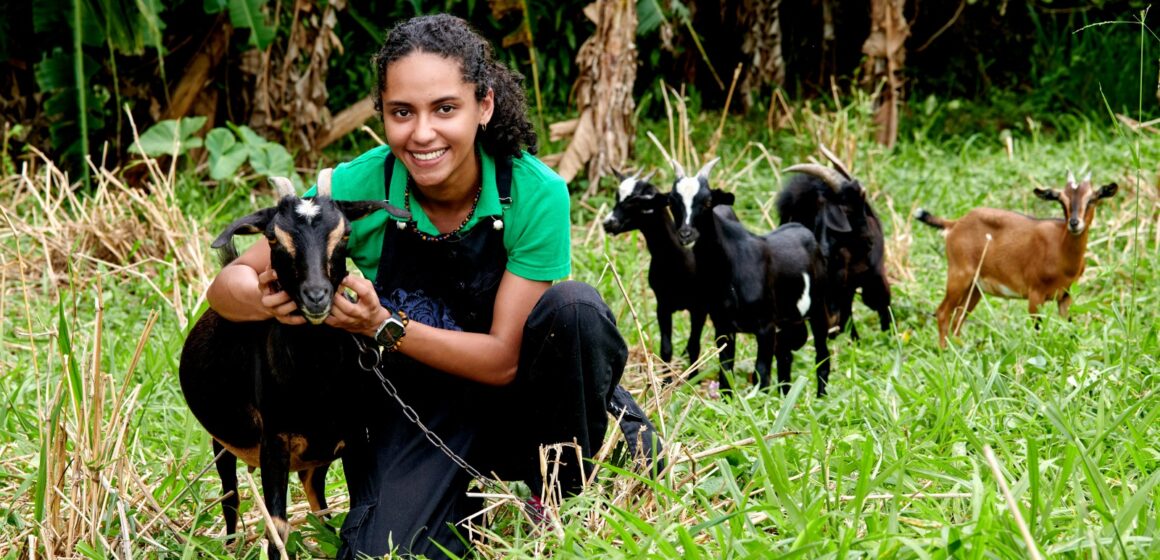 À 23 ans, Nahuel Tournebize, élève ingénieure agronome sous statut d’étudiant entrepreneur, aspire à créer Capr’îles, le premier fromage made in Guadeloupe, grâce au cabri créole. À 23 ans, Nahuel Tournebize, élève ingénieure agronome sous statut d’étudiant entrepreneur, aspire à créer Capr’îles, le premier fromage made in Guadeloupe, grâce au cabri créole.