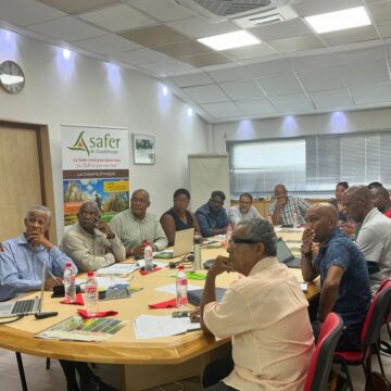 Comité technique Safer qui statue sur l’attribution des terrains agricoles, ici réunion de juin 2024. Photo : Safer Guadeloupe Comité technique Safer qui statue sur l’attribution des terrains agricoles, ici réunion de juin 2024. Photo : Safer Guadeloupe
