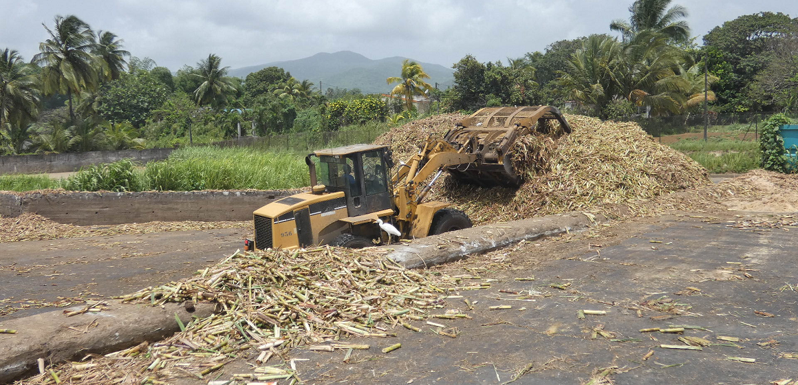 Manutention de la canne-à-sucre livrée à l'usine sucrerie de Gardel, Le Moule. Manutention de la canne-à-sucre livrée à l'usine sucrerie de Gardel, Le Moule.