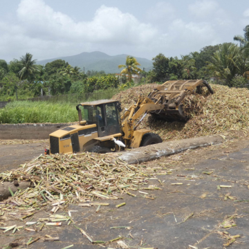 Manutention de la canne-à-sucre livrée à l'usine sucrerie de Gardel, Le Moule.