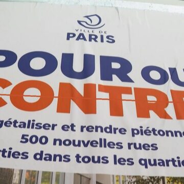 Le scrutin sur la végétalisation de la capitale était organisé dimanche 23 mars 2025. Le scrutin sur la végétalisation de la capitale était organisé dimanche 23 mars 2025.