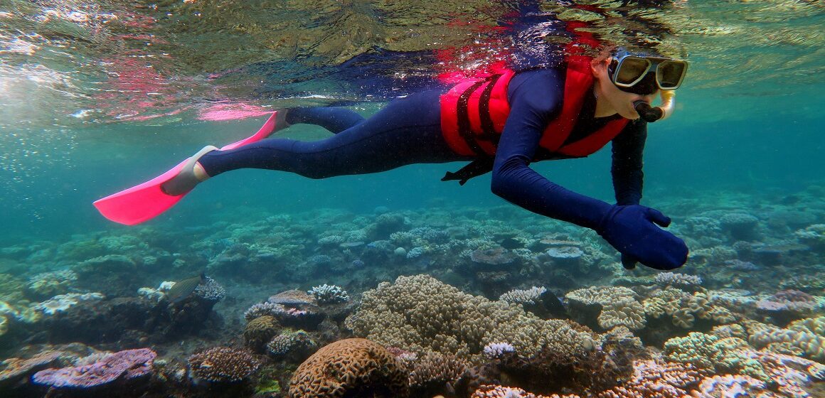 Le blanchissement mondial des coraux bat record sur record