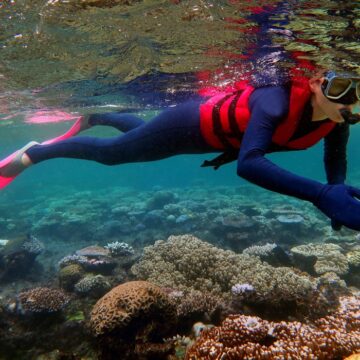 Grande barrière de corail Queensland en Australie. Photo : Chameleons Ey / Sipa