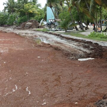 Plage Les Galbas à Sainte-Anne, le 30 avril 2024 : un littoral défiguré sous l'invasion des algues sargasses. Photo : Gilles Morel / Sipa Plage Les Galbas à Sainte-Anne, le 30 avril 2024 : un littoral défiguré sous l'invasion des algues sargasses. Photo : Gilles Morel / Sipa
