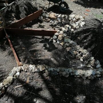 Zones de culture réalisées en juillet 2021 sur le Jardin des valeurs, réalisées par des jardiniers en remobilisation vers l'emploi au sein de l’association Bwa kapab à Petit-Canal. Photo : Bwa kapab Zones de culture réalisées en juillet 2021 sur le Jardin des valeurs, réalisées par des jardiniers en remobilisation vers l'emploi au sein de l’association Bwa kapab à Petit-Canal. Photo : Bwa kapab