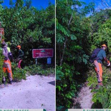 Des ouvriers forestiers débroussaillent et nettoient le sentier de la Pointe à Cabrit à Saint-François, le 20 novembre. Photo : ONF Guadeloupe Des ouvriers forestiers débroussaillent et nettoient le sentier de la Pointe à Cabrit à Saint-François, le 20 novembre. Photo : ONF Guadeloupe